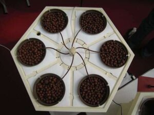 drip or top feed hydroponic grow system for weed