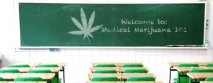 cannabis schools medical marijuana 101  Harry Anslinger made it illegal