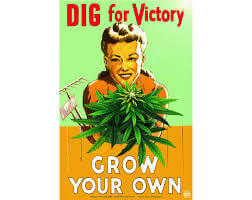 grow your own victory poster