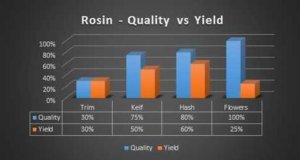 cannabis rosin - quality vs yield